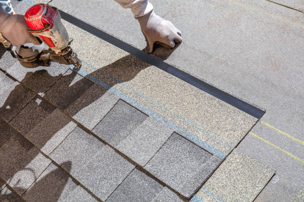 Best Roof Gutter Cleaning  in Oregon, OH