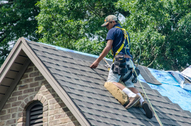 Professional Roofing Contractor in Oregon, OH